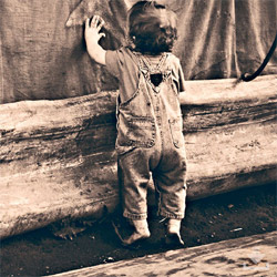 一键性能优化的电话轰炸在线免费